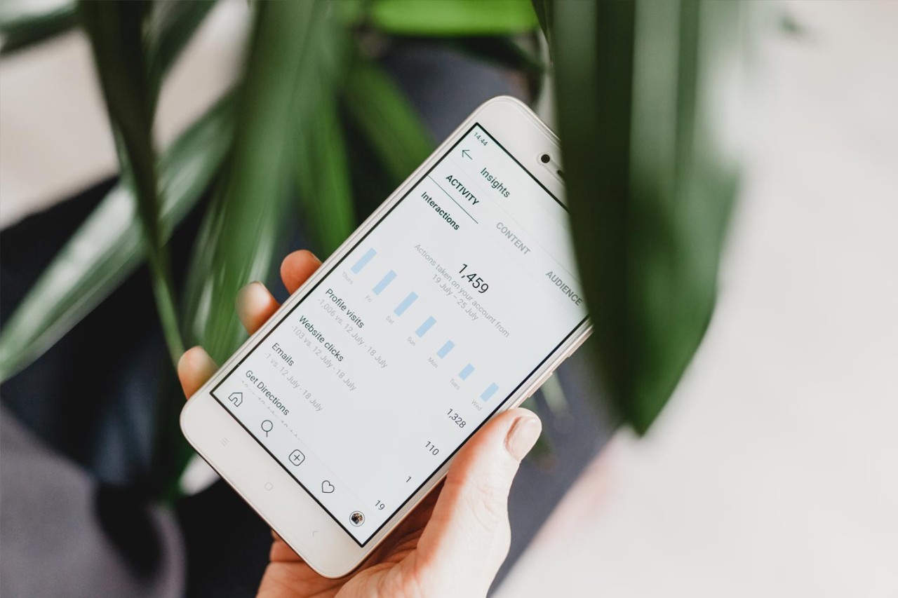 Social Media stats from influencer