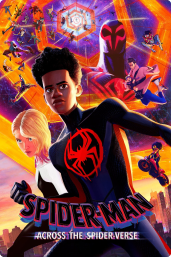 Spider-man Across The Spider-Verse bij Play More